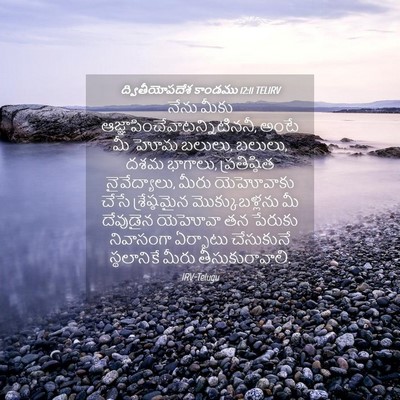 Picture 04 - ద్వితీయోపదేశ కాండము 12:11 TELIRV - నేను మీకు - Bible Verse Picture