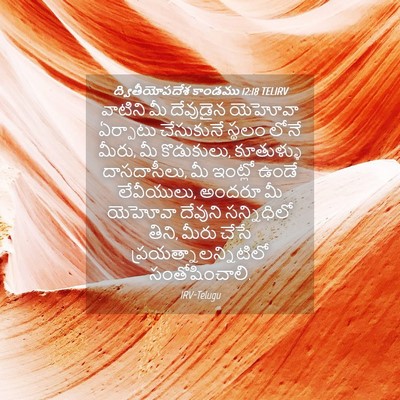 Picture 04 - ద్వితీయోపదేశ కాండము 12:18 TELIRV - వాటిని మీ దేవుడైన - Bible Verse Picture