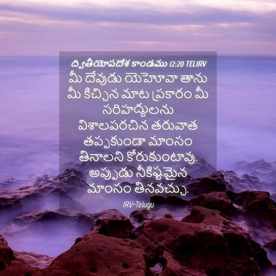 Picture 04 - ద్వితీయోపదేశ కాండము 12:20 TELIRV - మీ దేవుడు యెహోవా - Bible Verse Picture