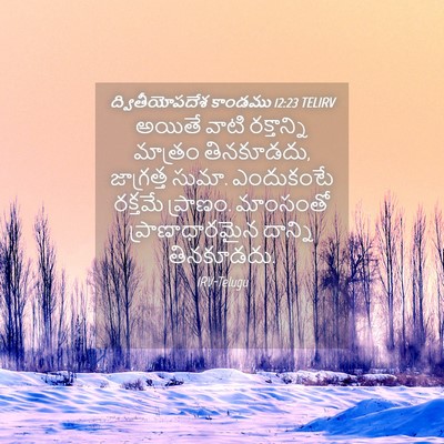 Picture 04 - ద్వితీయోపదేశ కాండము 12:23 TELIRV - అయితే వాటి - Bible Verse Picture