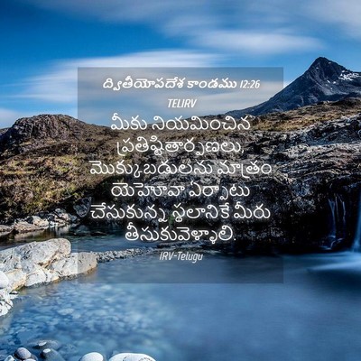 Picture 04 - ద్వితీయోపదేశ కాండము 12:26 TELIRV - మీకు నియమించిన - Bible Verse Picture