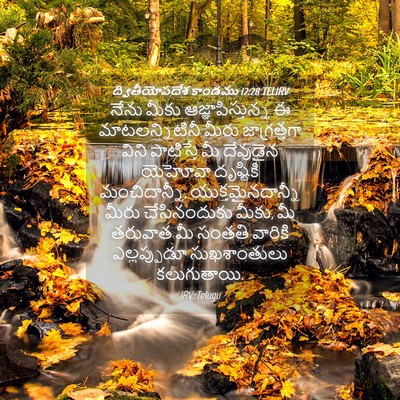 Picture 04 - ద్వితీయోపదేశ కాండము 12:28 TELIRV - నేను మీకు - Bible Verse Picture