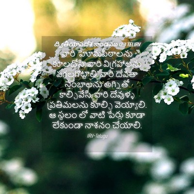 Picture 04 - ద్వితీయోపదేశ కాండము 12:3 TELIRV - వారి హోమపీఠాలను - Bible Verse Picture