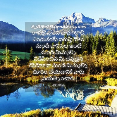 Picture 04 - ద్వితీయోపదేశ కాండము 13:10 TELIRV - రాళ్లతో వారిని - Bible Verse Picture