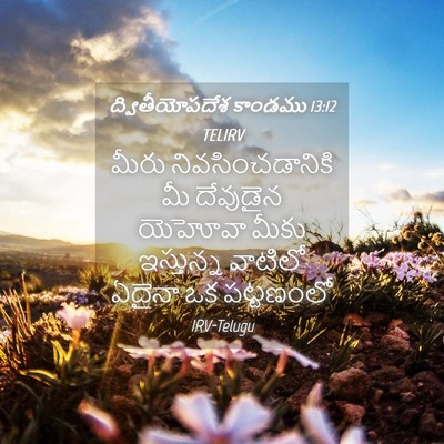 Picture 04 - ద్వితీయోపదేశ కాండము 13:12 TELIRV - మీరు - Bible Verse Picture