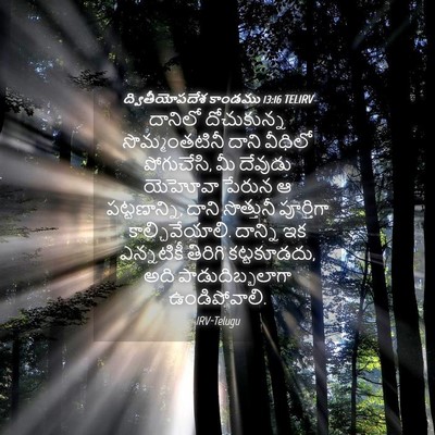 Picture 04 - ద్వితీయోపదేశ కాండము 13:16 TELIRV - దానిలో దోచుకున్న - Bible Verse Picture