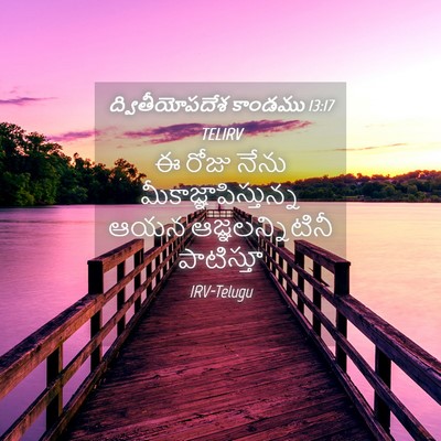 Picture 04 - ద్వితీయోపదేశ కాండము 13:17 TELIRV - ఈ రోజు నేను - Bible Verse Picture