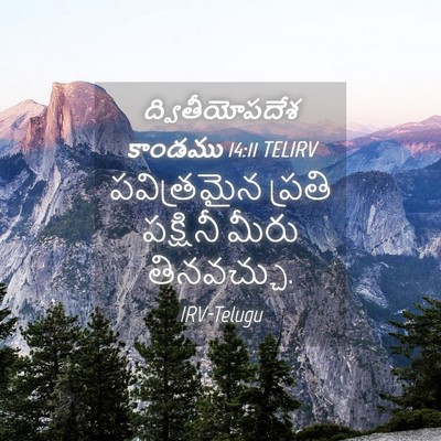 Picture 04 - ద్వితీయోపదేశ కాండము 14:11 TELIRV - పవిత్రమైన ప్రతి - Bible Verse Picture