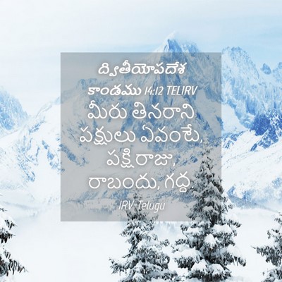 Picture 04 - ద్వితీయోపదేశ కాండము 14:12 TELIRV - మీరు తినరాని - Bible Verse Picture