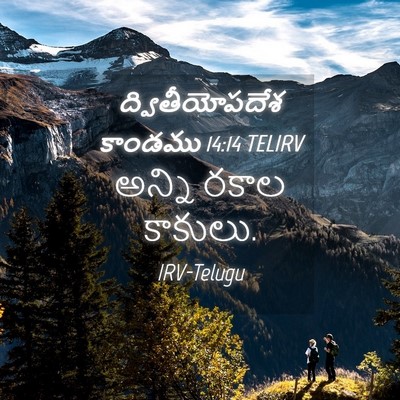Picture 04 - ద్వితీయోపదేశ కాండము 14:14 TELIRV - అన్ని రకాల - Bible Verse Picture