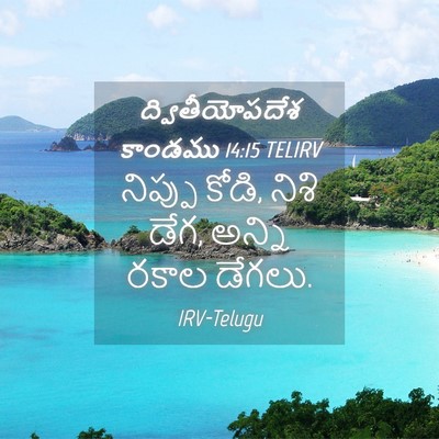 Picture 04 - ద్వితీయోపదేశ కాండము 14:15 TELIRV - నిప్పు కోడి, నిశి - Bible Verse Picture