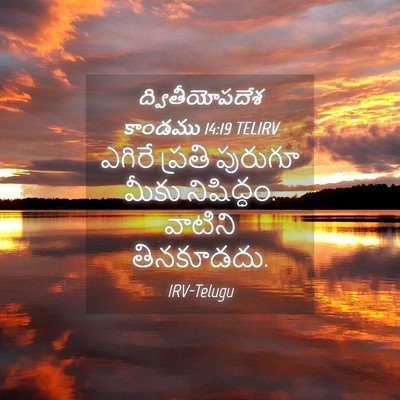 Picture 04 - ద్వితీయోపదేశ కాండము 14:19 TELIRV - ఎగిరే ప్రతి - Bible Verse Picture