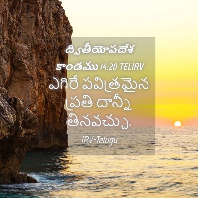 Picture 04 - ద్వితీయోపదేశ కాండము 14:20 TELIRV - ఎగిరే పవిత్రమైన - Bible Verse Picture