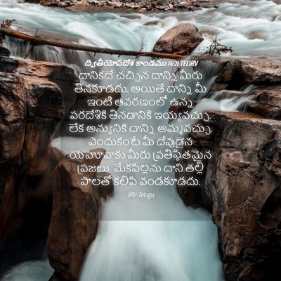 Picture 04 - ద్వితీయోపదేశ కాండము 14:21 TELIRV - దానికదే చచ్చిన - Bible Verse Picture