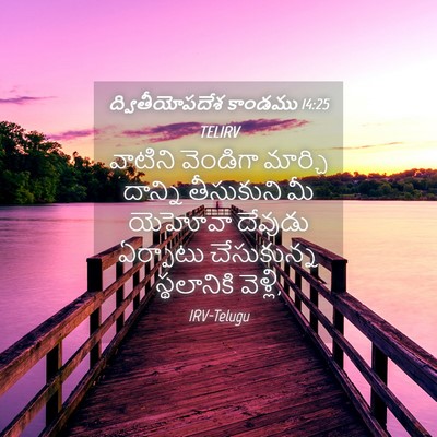 Picture 04 - ద్వితీయోపదేశ కాండము 14:25 TELIRV - వాటిని వెండిగా - Bible Verse Picture