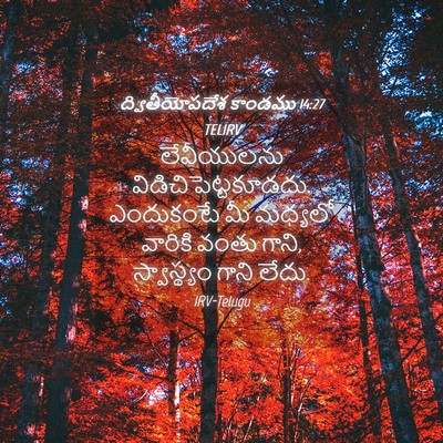 Picture 04 - ద్వితీయోపదేశ కాండము 14:27 TELIRV - లేవీయులను - Bible Verse Picture