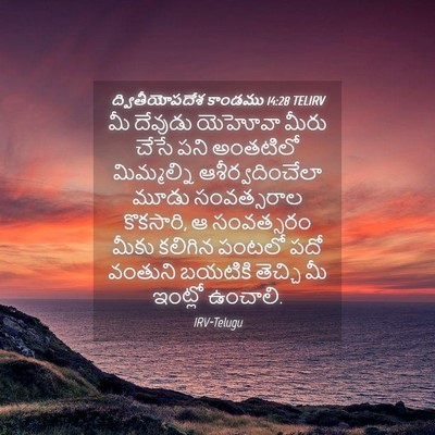 Picture 04 - ద్వితీయోపదేశ కాండము 14:28 TELIRV - మీ దేవుడు యెహోవా - Bible Verse Picture