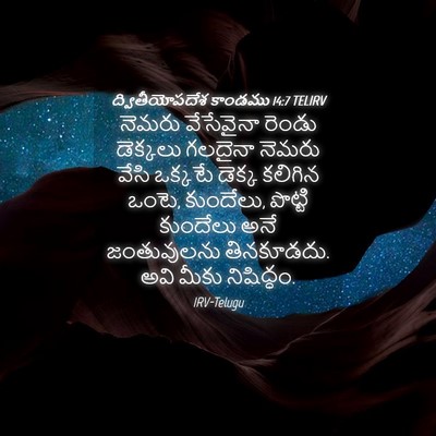 Picture 04 - ద్వితీయోపదేశ కాండము 14:7 TELIRV - నెమరు వేసేవైనా - Bible Verse Picture
