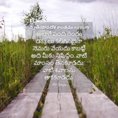 Picture 04 - ద్వితీయోపదేశ కాండము 14:8 TELIRV - అలాగే పంది రెండు - Bible Verse Picture