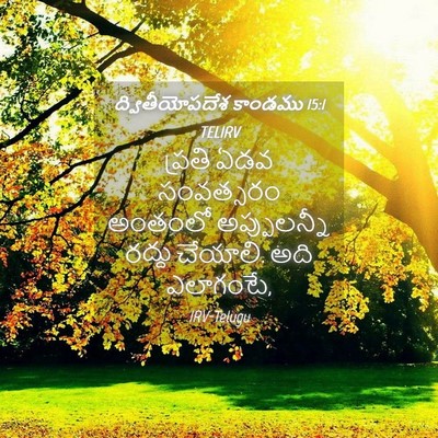 Picture 04 - ద్వితీయోపదేశ కాండము 15:1 TELIRV - ప్రతి ఏడవ - Bible Verse Picture