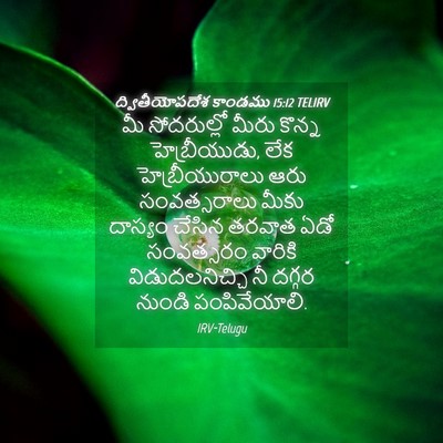 Picture 04 - ద్వితీయోపదేశ కాండము 15:12 TELIRV - మీ సోదరుల్లో మీరు - Bible Verse Picture