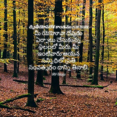 Picture 04 - ద్వితీయోపదేశ కాండము 15:20 TELIRV - మీ యెహోవా దేవుడు - Bible Verse Picture