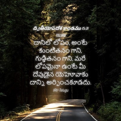 Picture 04 - ద్వితీయోపదేశ కాండము 15:21 TELIRV - దానిలో లోపం, అంటే - Bible Verse Picture