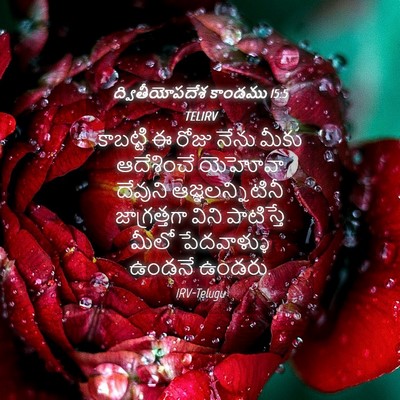 Picture 04 - ద్వితీయోపదేశ కాండము 15:5 TELIRV - కాబట్టి ఈ రోజు - Bible Verse Picture