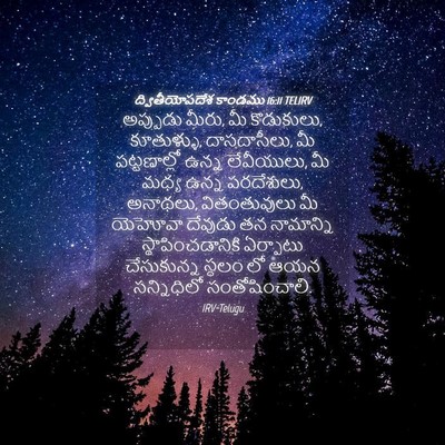 Picture 04 - ద్వితీయోపదేశ కాండము 16:11 TELIRV - అప్పుడు మీరు, మీ - Bible Verse Picture
