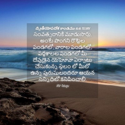 Picture 04 - ద్వితీయోపదేశ కాండము 16:16 TELIRV - సంవత్సరానికి - Bible Verse Picture