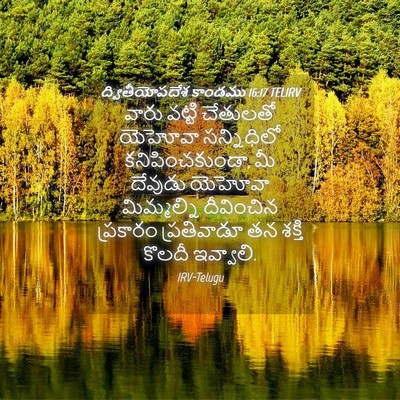 Picture 04 - ద్వితీయోపదేశ కాండము 16:17 TELIRV - వారు వట్టి - Bible Verse Picture