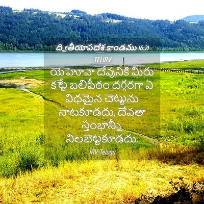 Picture 04 - ద్వితీయోపదేశ కాండము 16:21 TELIRV - యెహోవా దేవునికి - Bible Verse Picture
