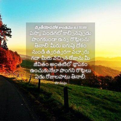 Picture 04 - ద్వితీయోపదేశ కాండము 16:3 TELIRV - పస్కా పండగలో - Bible Verse Picture