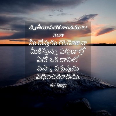 Picture 04 - ద్వితీయోపదేశ కాండము 16:5 TELIRV - మీ దేవుడు యెహోవా - Bible Verse Picture
