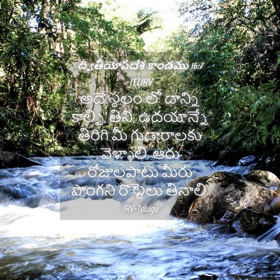 Picture 04 - ద్వితీయోపదేశ కాండము 16:7 TELIRV - అదే స్థలం లో - Bible Verse Picture