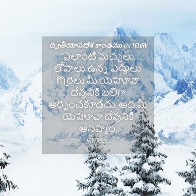 Picture 04 - ద్వితీయోపదేశ కాండము 17:1 TELIRV - “ఎలాంటి మచ్చలు, - Bible Verse Picture