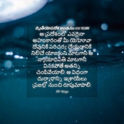 Picture 04 - ద్వితీయోపదేశ కాండము 17:12 TELIRV - ఆ ప్రదేశంలో - Bible Verse Picture