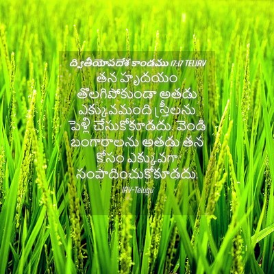 Picture 04 - ద్వితీయోపదేశ కాండము 17:17 TELIRV - తన హృదయం - Bible Verse Picture