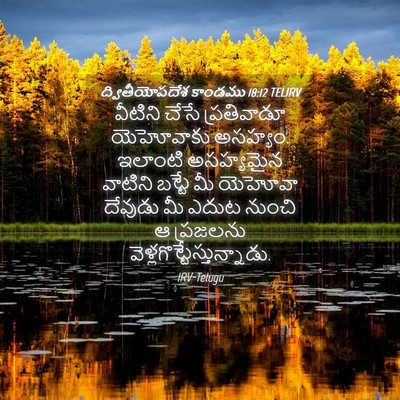 Picture 04 - ద్వితీయోపదేశ కాండము 18:12 TELIRV - వీటిని చేసే - Bible Verse Picture