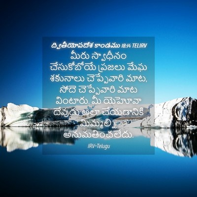 Picture 04 - ద్వితీయోపదేశ కాండము 18:14 TELIRV - మీరు స్వాధీనం - Bible Verse Picture