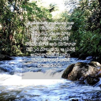 Picture 04 - ద్వితీయోపదేశ కాండము 18:22 TELIRV - ప్రవక్త యెహోవా - Bible Verse Picture