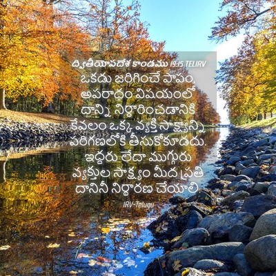 Picture 04 - ద్వితీయోపదేశ కాండము 19:15 TELIRV - ఒకడు జరిగించే - Bible Verse Picture
