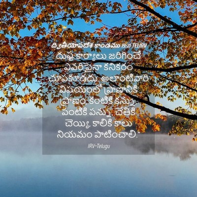 Picture 04 - ద్వితీయోపదేశ కాండము 19:21 TELIRV - దుష్ట కార్యాలు - Bible Verse Picture