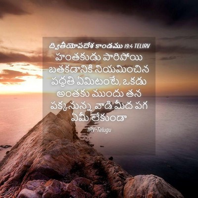 Picture 04 - ద్వితీయోపదేశ కాండము 19:4 TELIRV - హంతకుడు పారిపోయి - Bible Verse Picture