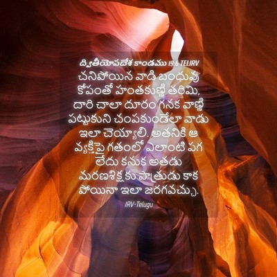 Picture 04 - ద్వితీయోపదేశ కాండము 19:6 TELIRV - చనిపోయిన వాడి - Bible Verse Picture