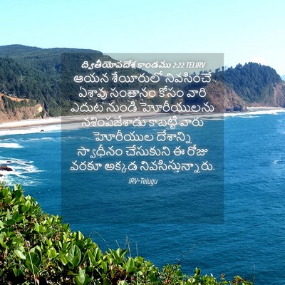 Picture 04 - ద్వితీయోపదేశ కాండము 2:22 TELIRV - ఆయన శేయీరులో - Bible Verse Picture