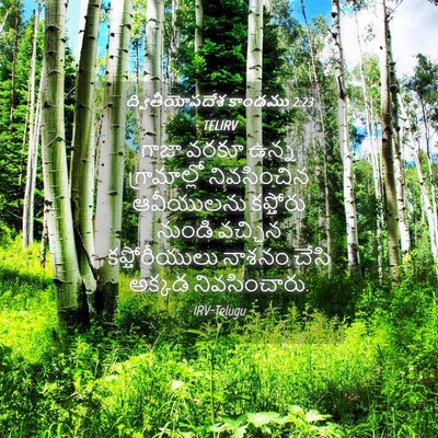 Picture 04 - ద్వితీయోపదేశ కాండము 2:23 TELIRV - గాజా వరకూ ఉన్న - Bible Verse Picture