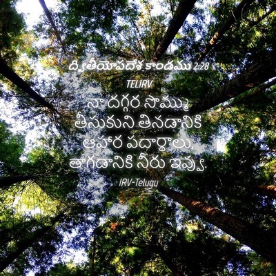 Picture 04 - ద్వితీయోపదేశ కాండము 2:28 TELIRV - నా దగ్గర సొమ్ము - Bible Verse Picture