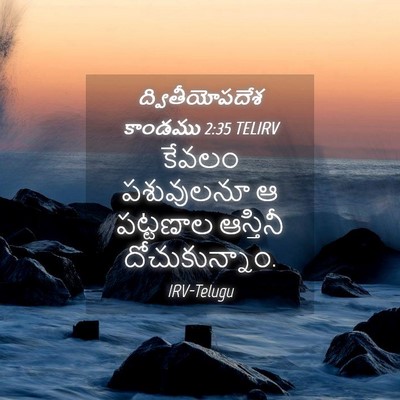 Picture 04 - ద్వితీయోపదేశ కాండము 2:35 TELIRV - కేవలం పశువులనూ ఆ - Bible Verse Picture