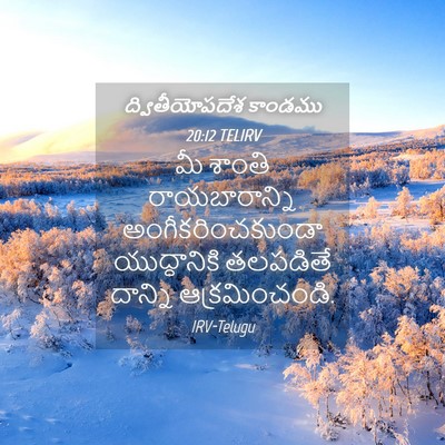 Picture 04 - ద్వితీయోపదేశ కాండము 20:12 TELIRV - మీ శాంతి - Bible Verse Picture
